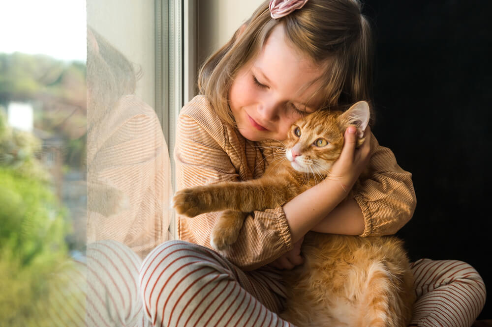 窓際で猫を抱きしめる少女