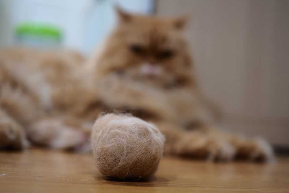 猫の毛玉ボール