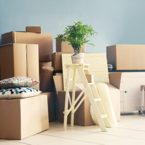 引っ越しは荷造りの手順とコツを押さえてスムーズに！必要な道具や注意点を解説