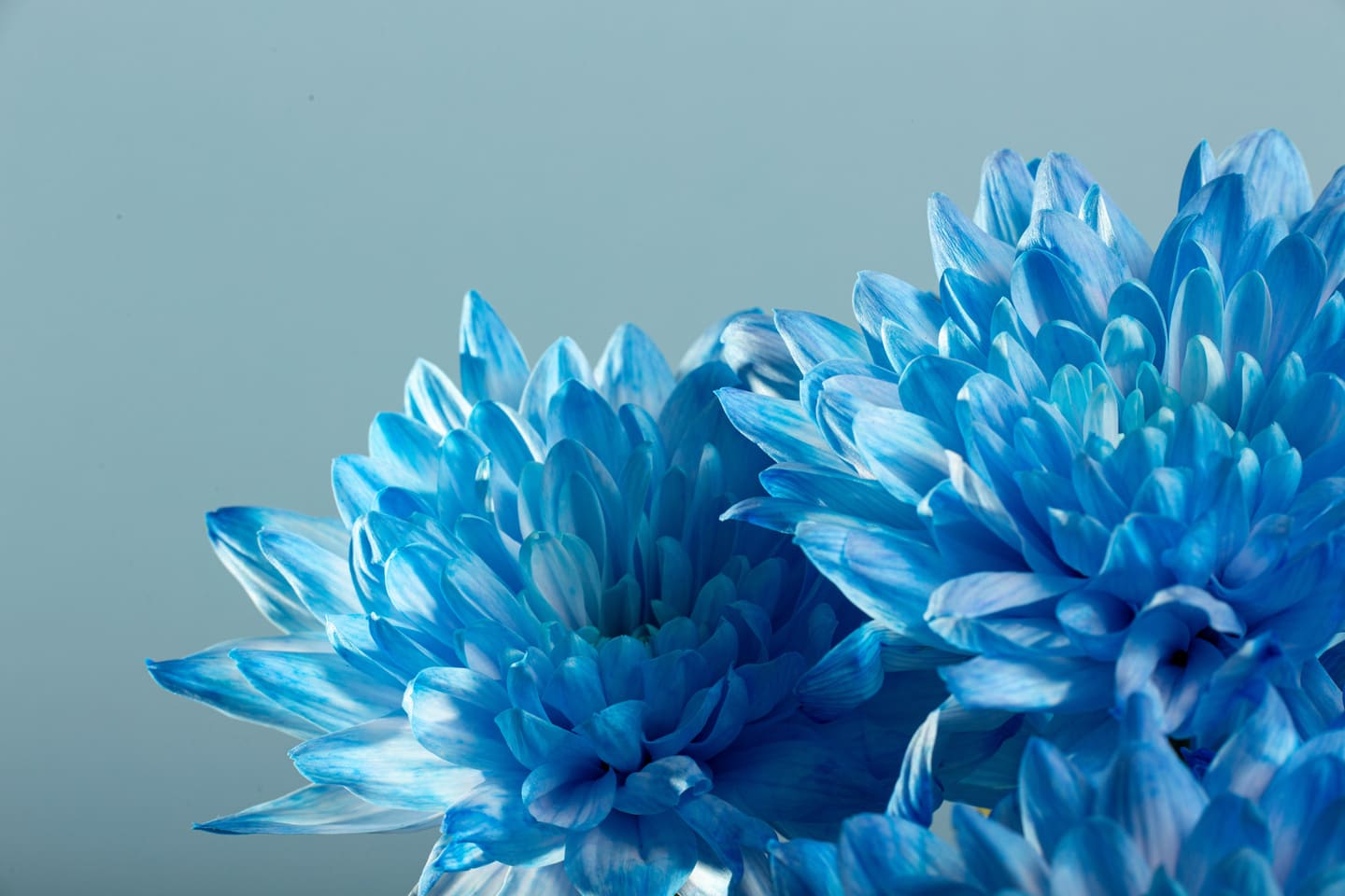 風水 青色が持つ意味と上がる運気は 組み合わせのいい色とアイテムもご紹介 くらしマグネット
