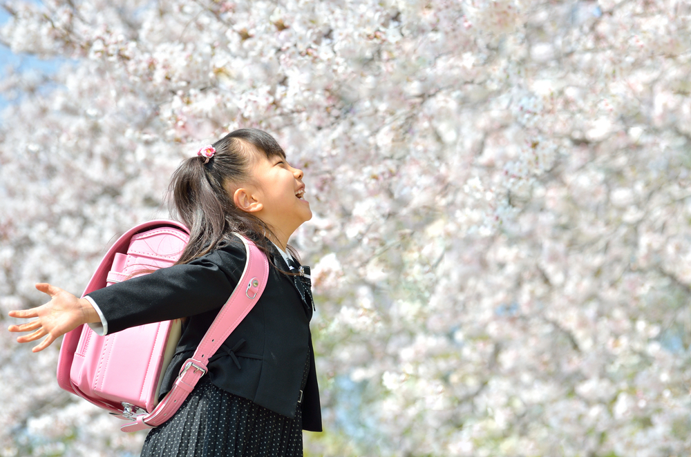 桜を見上げる新小学生