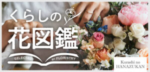 9月の花 花屋が教える秋の入り口におすすめの花と飾り方 くらしの花図鑑 くらしマグネット