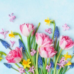 【3月の花】花屋が教える、春の足音聞こえる3月におすすめの花と飾り方|くらしの花図鑑