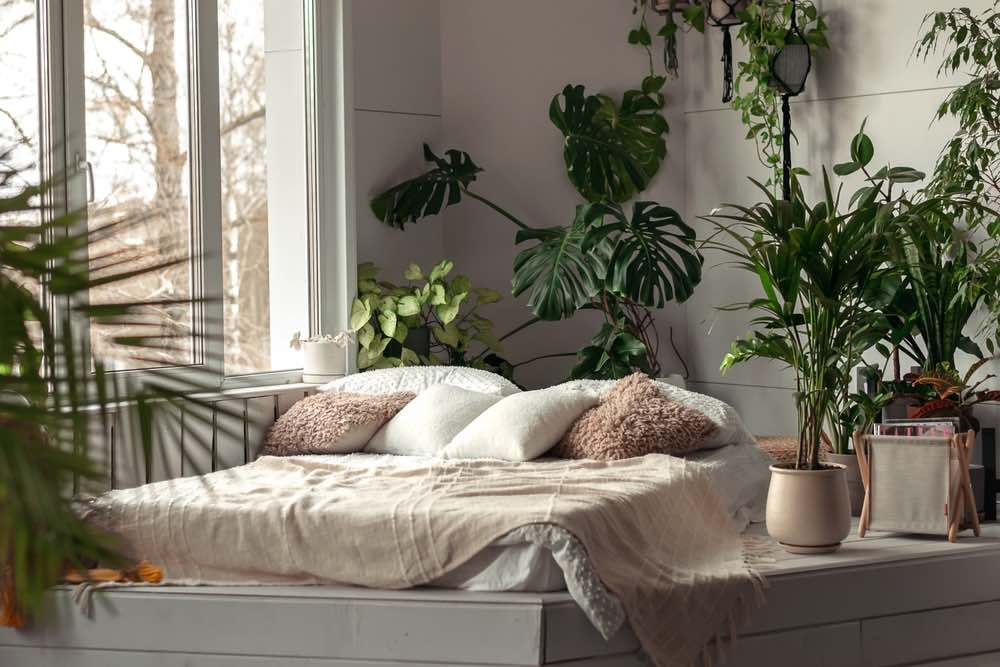 ベッドルームと観葉植物