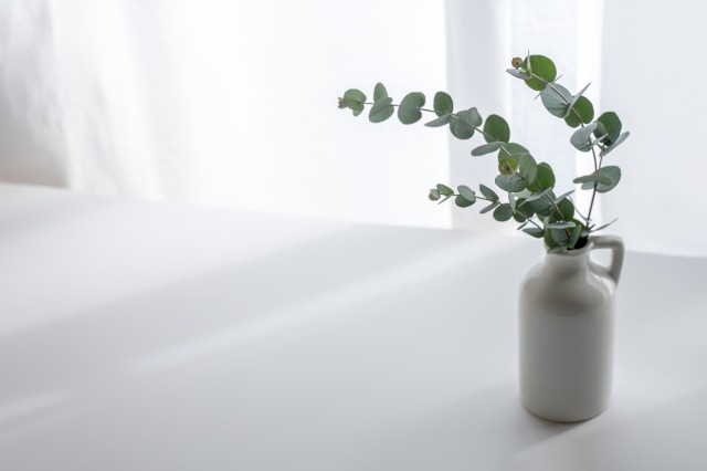 インテリアグリーンにおすすめの花瓶