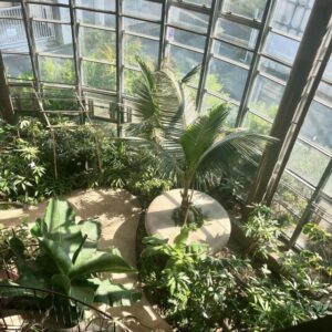 日本一小さい植物園「渋谷区ふれあい植物センター」の魅力を徹底解剖！