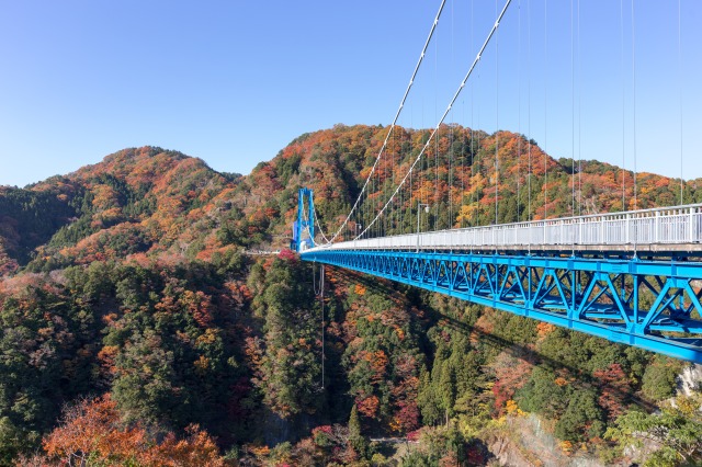 竜神大吊橋と紅葉