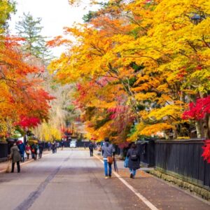 東北の美しい紅葉スポットを楽しみ方別に紹介！【ロープウェイ・ライトアップ・温泉】