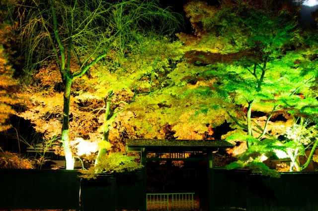 角館 武家屋敷通りの紅葉ライトアップ