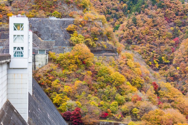 小河内ダムと紅葉