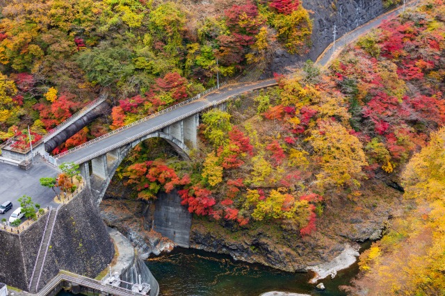 小河内ダムの紅葉