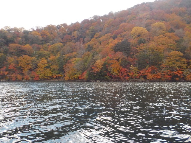 中禅寺湖と紅葉