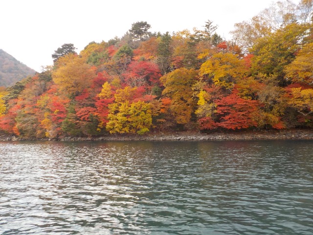 中禅寺湖と紅葉