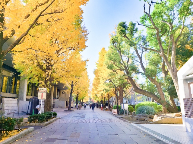 秋の上野恩賜公園　紅葉