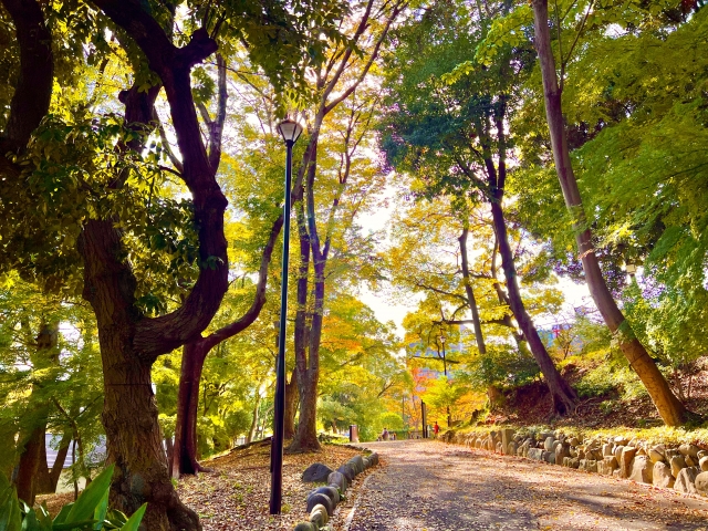 秋の芝公園