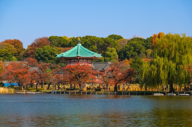 秋の上野恩賜公園の不忍池