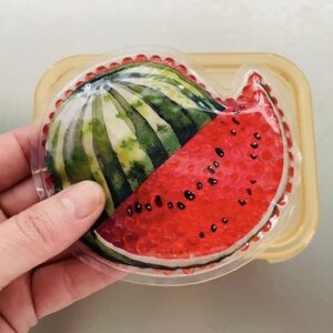 100均の保冷剤でお弁当の安全をキープ！元気が出そうなかわいいデザインも◎