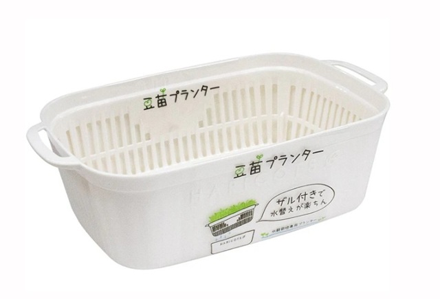 ダイソー　豆苗プランター ホワイト　110円（税込）