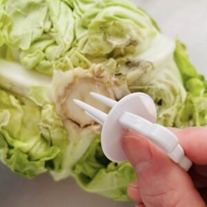 ダイソーの「野菜フレッシュキーパー」が気になる！使い方や効果、鮮度を保つコツも紹介