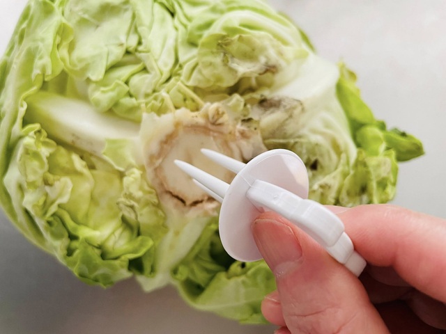 ダイソー　野菜フレッシュキーパー　使い方