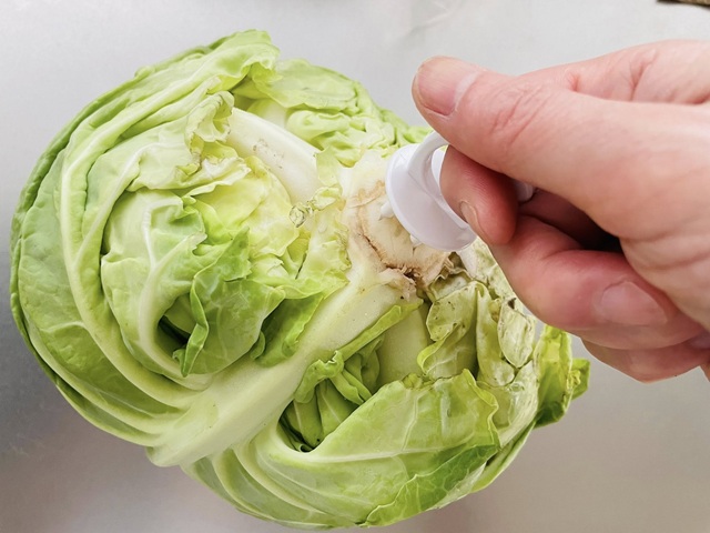 ダイソー　野菜フレッシュキーパー　使い方　ぐっと差し込む