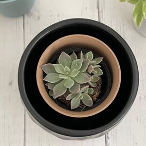 ドロマイトの植木鉢ってどう？100均でも買える注目アイテムをチェック！