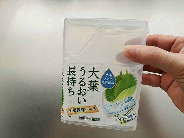 ダイソー　大葉保存ケース