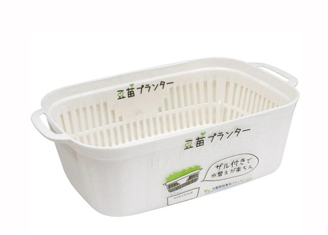 ダイソー　豆苗プランター　ホワイト