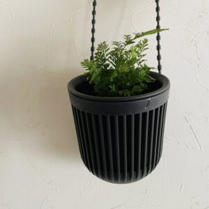 ダイソーの吊り鉢がかわいい！おしゃれな飾り方やおすすめの植物を紹介