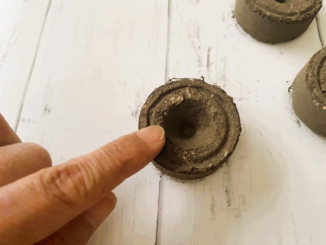 ダイソー　種まきポット　真ん中のくぼみ