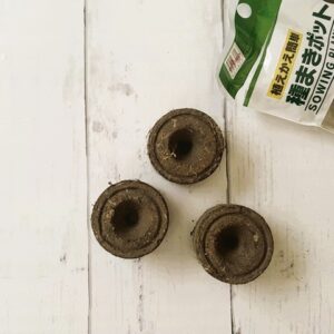ダイソーの「種まきポッド」は栽培用の土のかたまり！使い方やおすすめの植物も解説