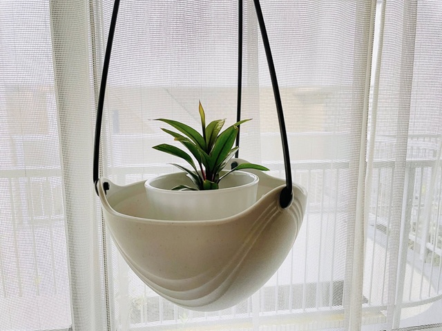 セリア　吊り鉢　植物