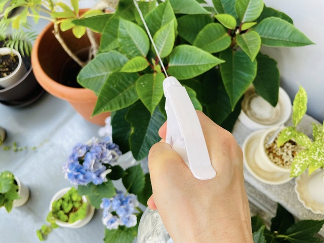 ダイソー　スプレーヘッド　霧吹きヘッド　2個 　ノズル　トリガー
