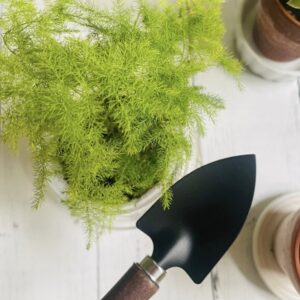ダイソーの移植ごてがガーデニングで大活躍！特徴や使い方を解説
