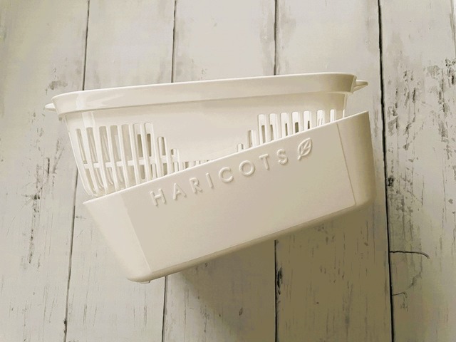 ダイソー　豆苗プランター　シンプルなデザイン