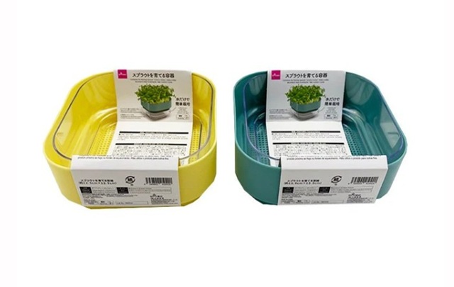 ダイソー　スプラウトを育てる容器