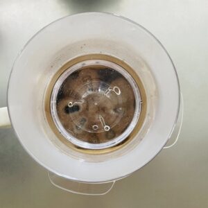 ダイソーのシャワードリップって？おいしいコーヒーが淹れられる理由とは？