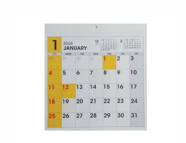 ダイソー 壁掛けカレンダー(正方形、12カラー)