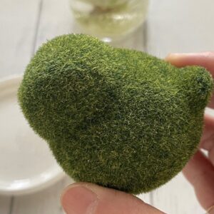 苔玉のカビ対策は?カビが生えない苔玉も紹介♪