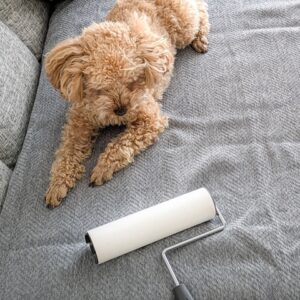 ダイソーのコロコロならちょこっと掃除がラクに！メリットや掃除術を解説