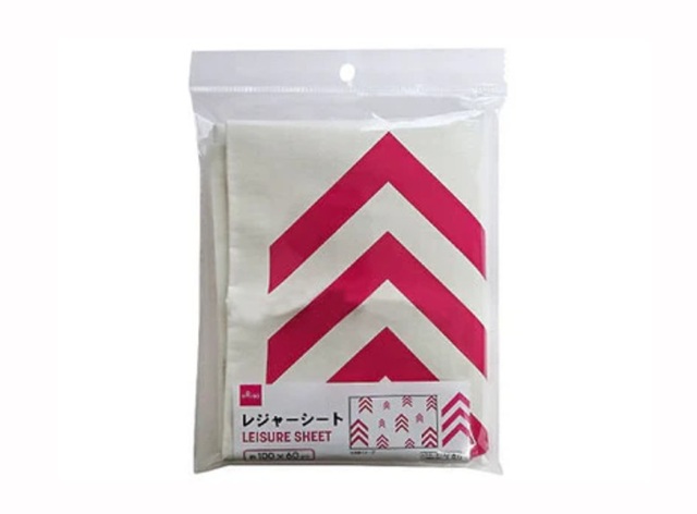 ダイソー　レジャーシート
