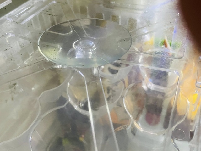 ダイソーの「吊り下げ冷蔵庫収納ケース（卵用）組み立て方　吸盤を棚板にしっかり貼り付ける