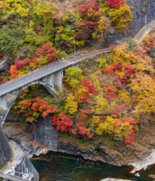 小河内ダムの紅葉